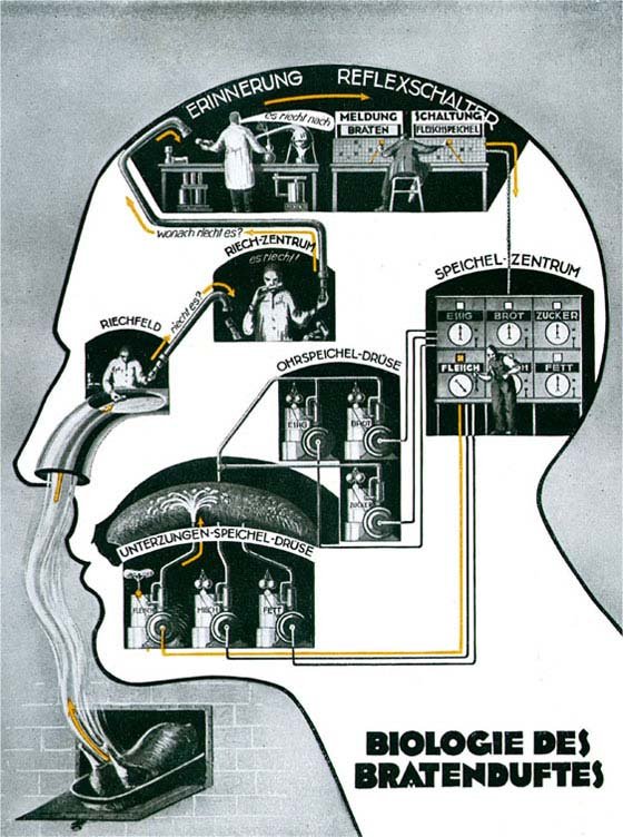 pictorial representation of the sensory processes occurring in a man’s head