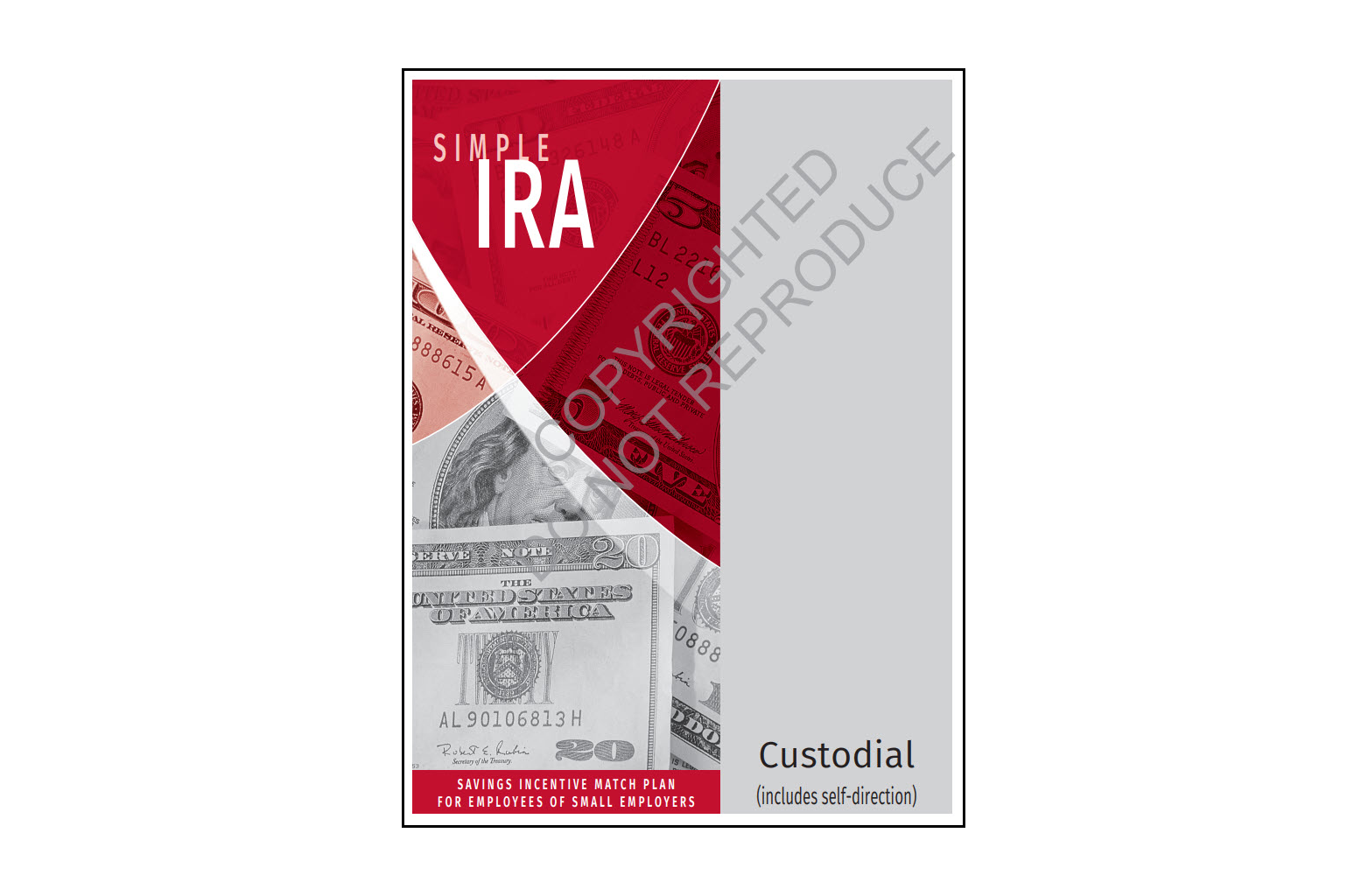 SIMPLE IRA Organizer - Custodial sample