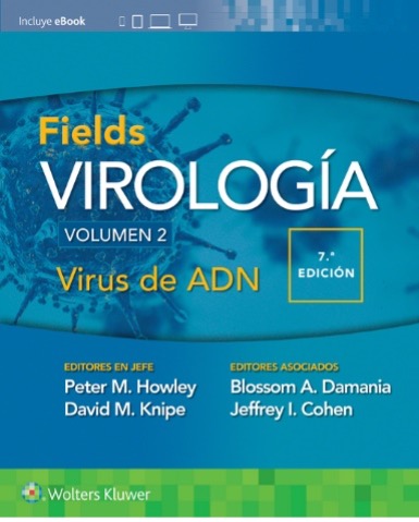 Virologia de Fields Virus de ADN