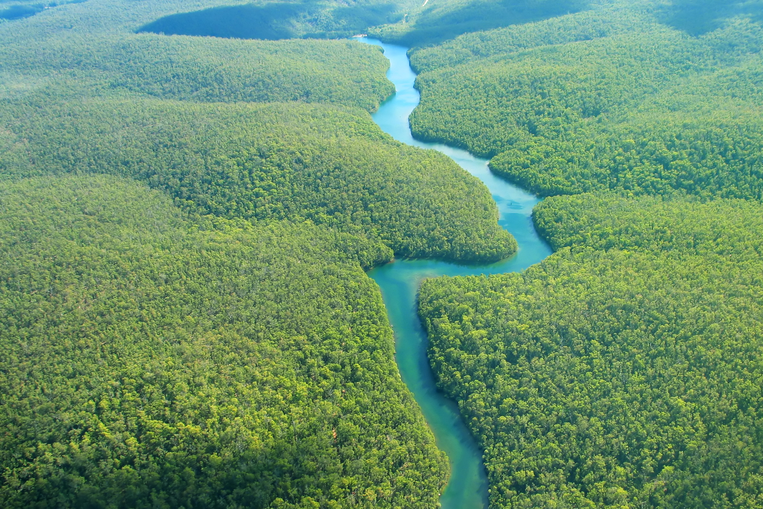 Greenery and River Aerial Photo