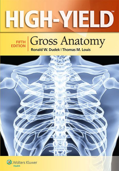 High-Yield Gross Anatomy book cover