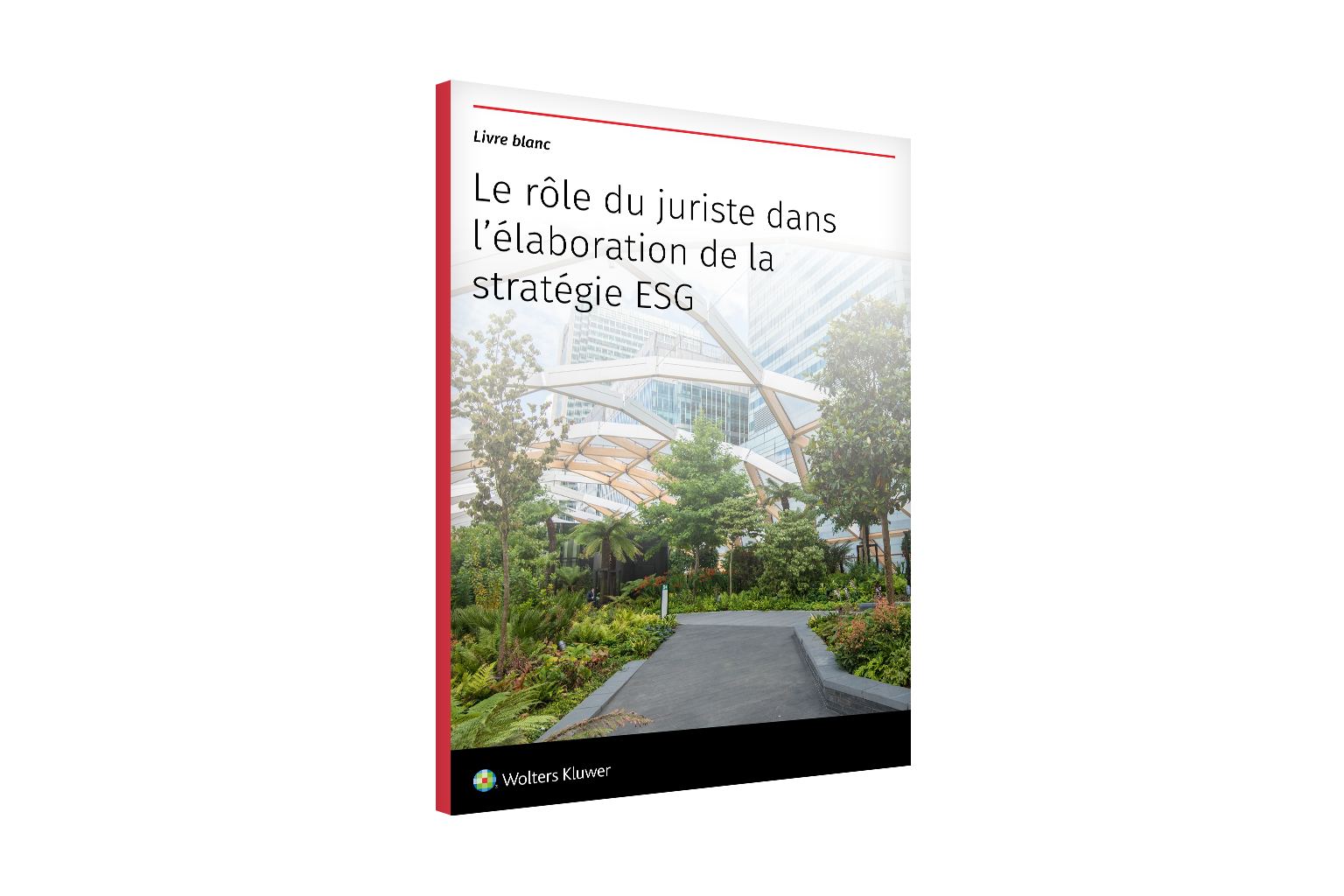 3d cover page of ESG whitepaper