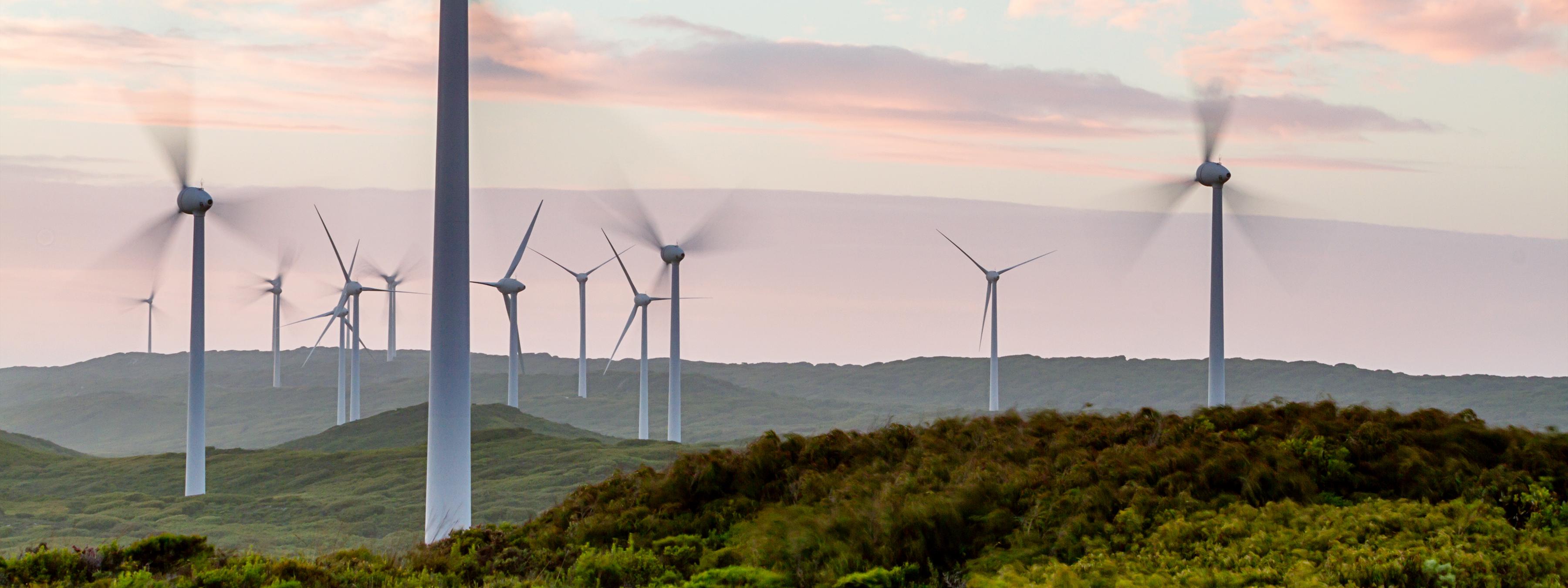 Navigating the ESG Horizon in New Zealand