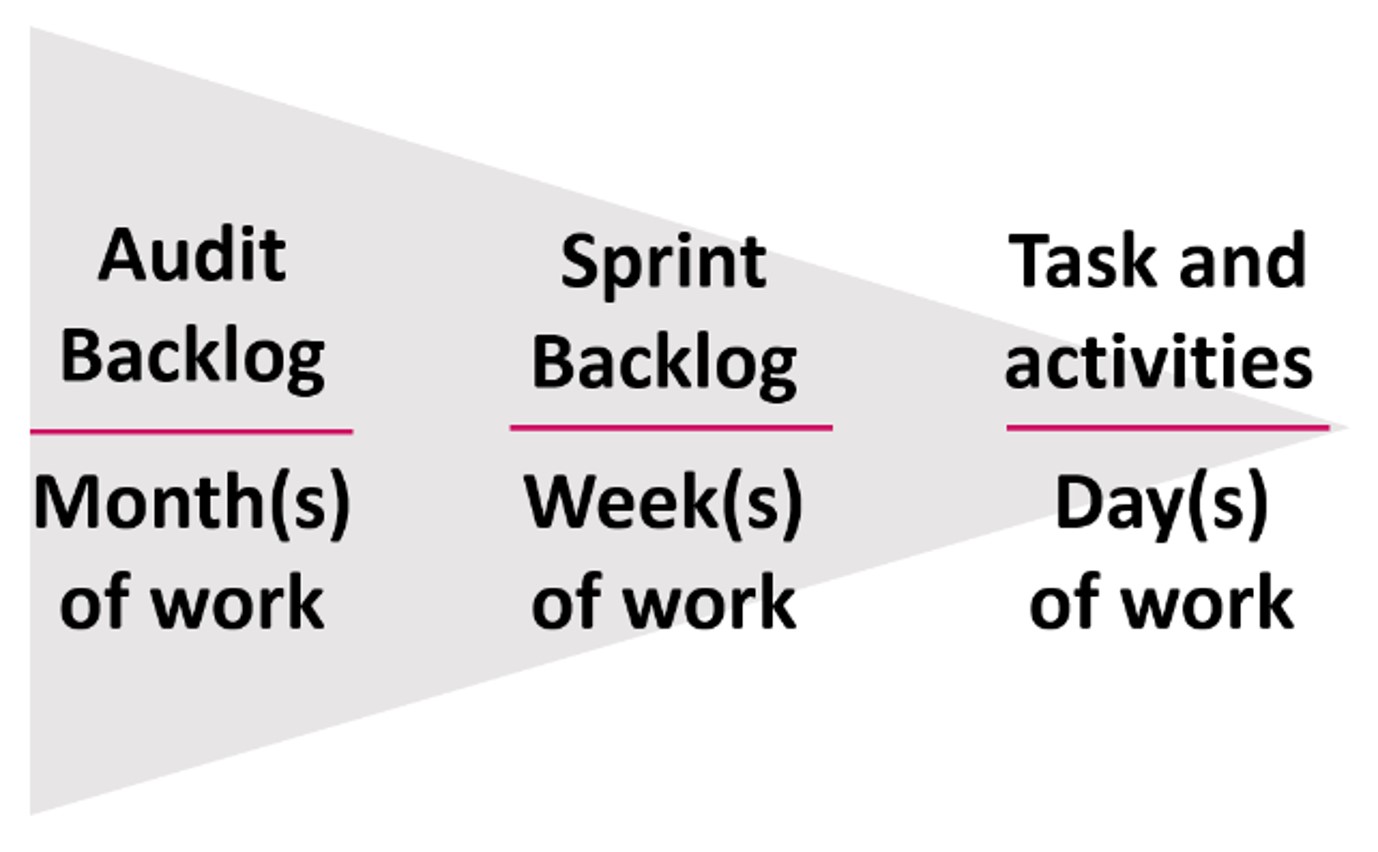 agile audit organization