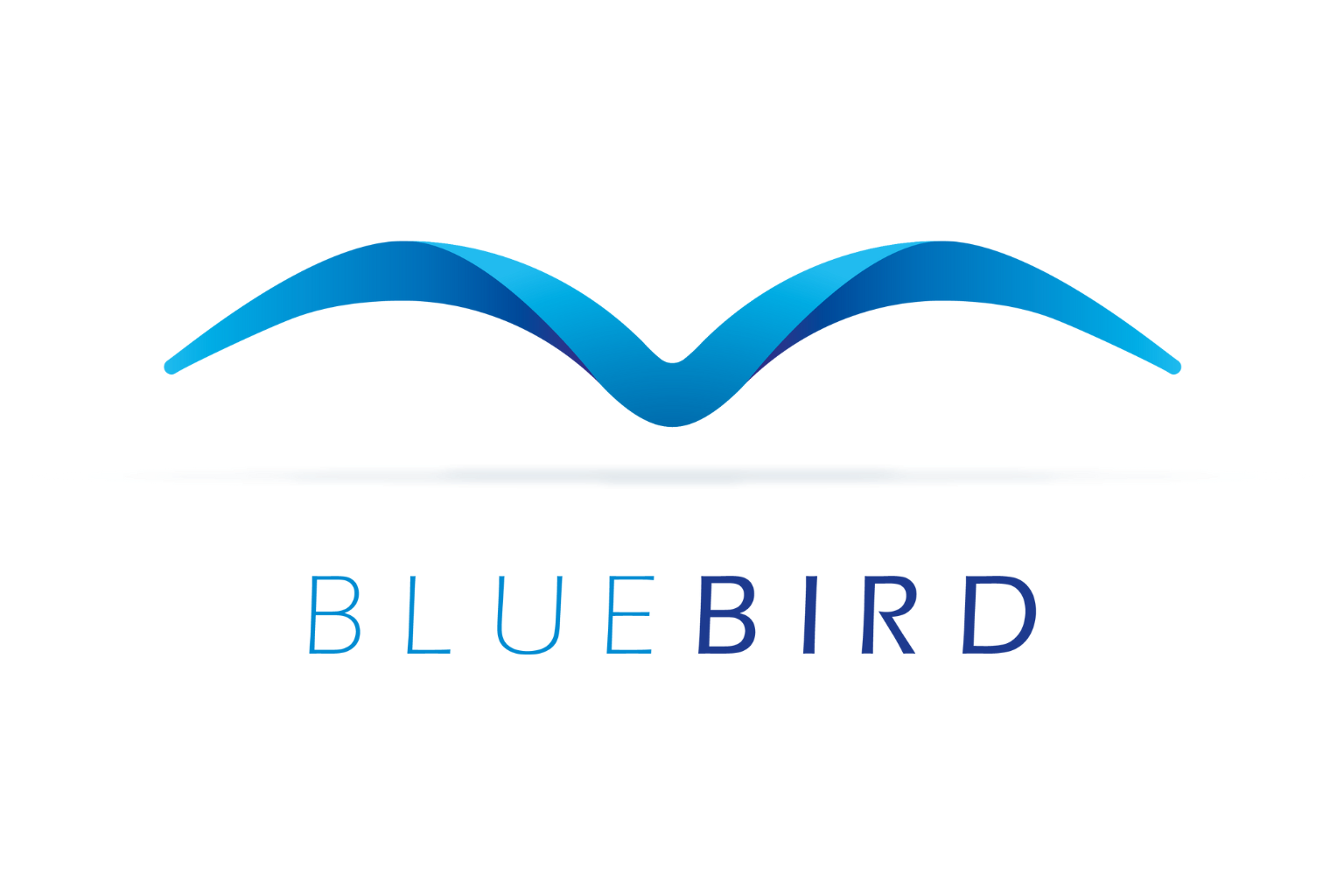 cch-tagetik-bluebird-logo