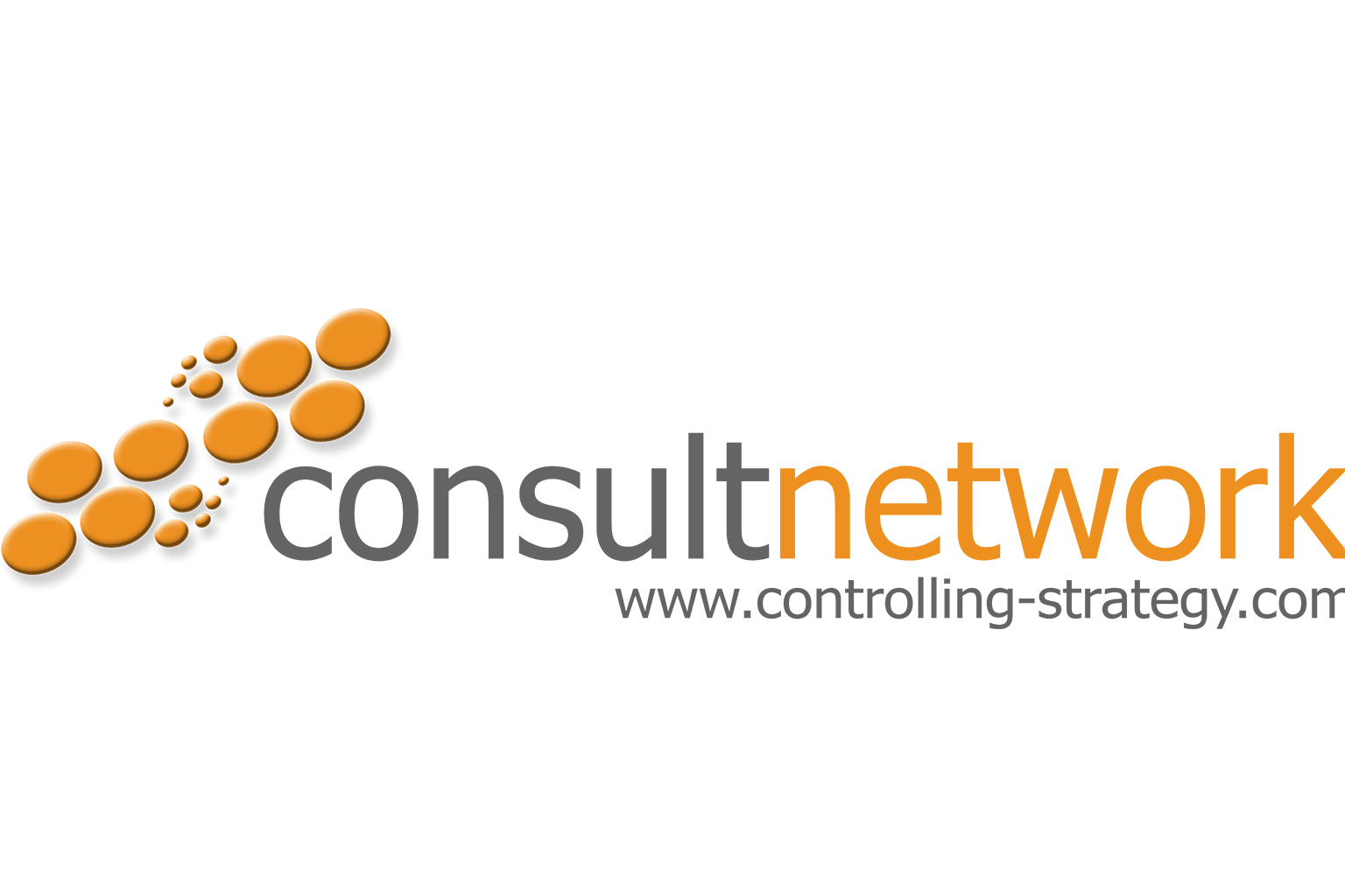 Consultnetwork Logo