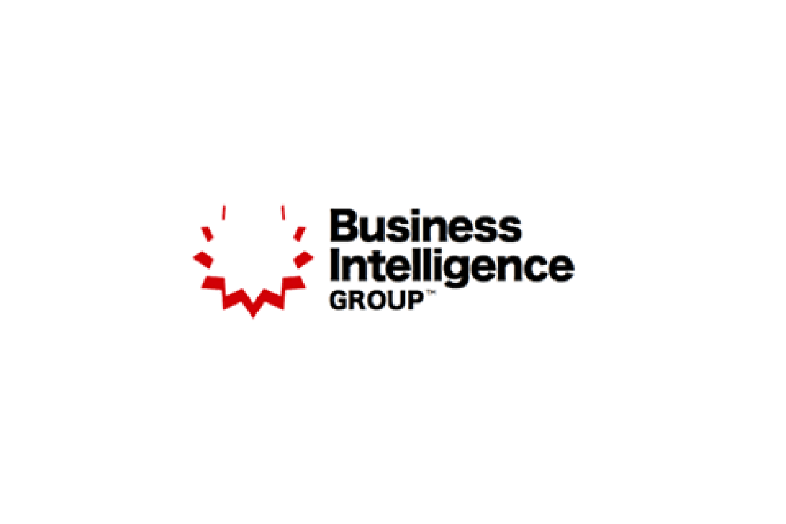 Business Intelligence Group image