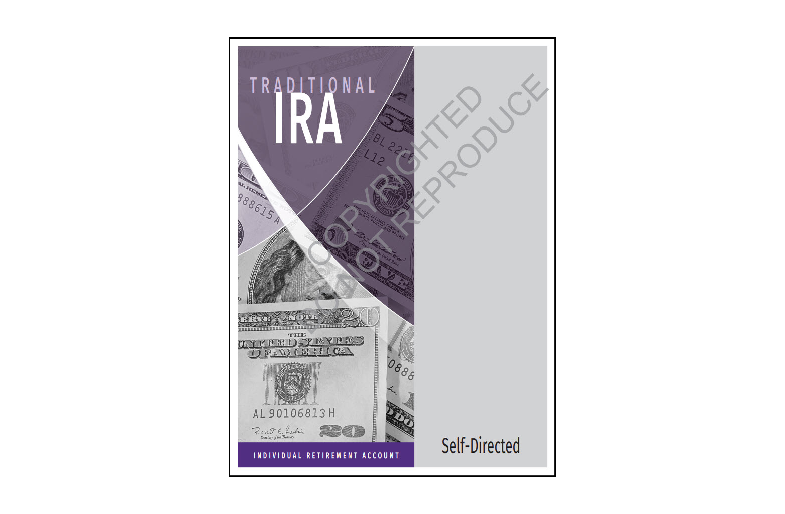 Traditional IRA Organizer - self directed sample