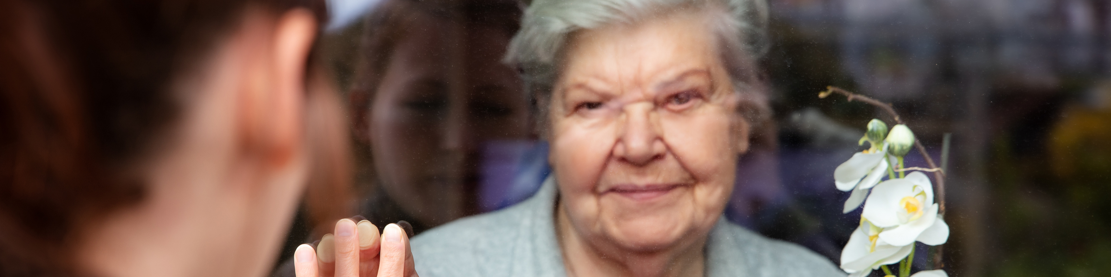 Social distancing among the family, senior woman and younger woman on a window plane