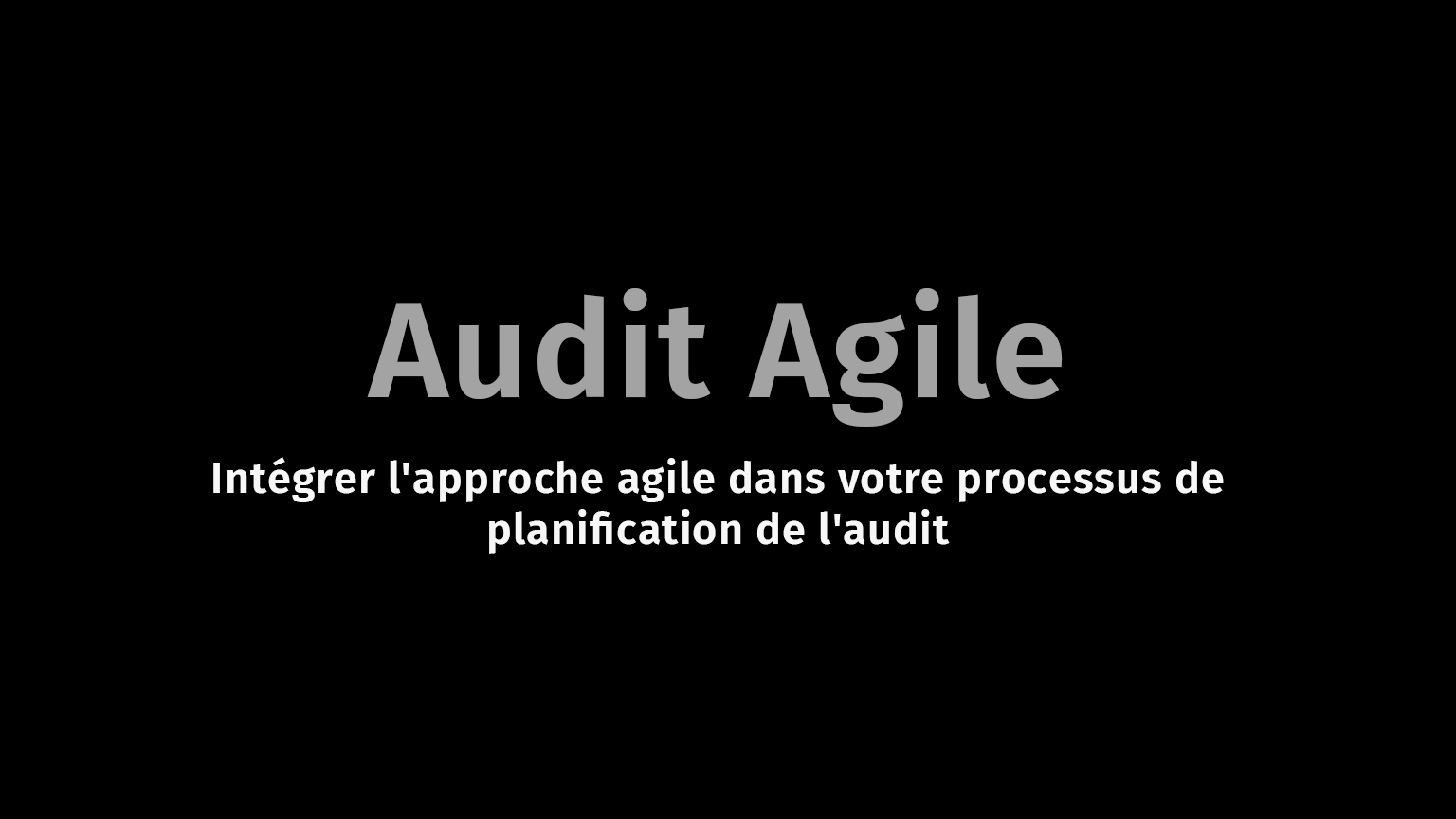 Audit Agile