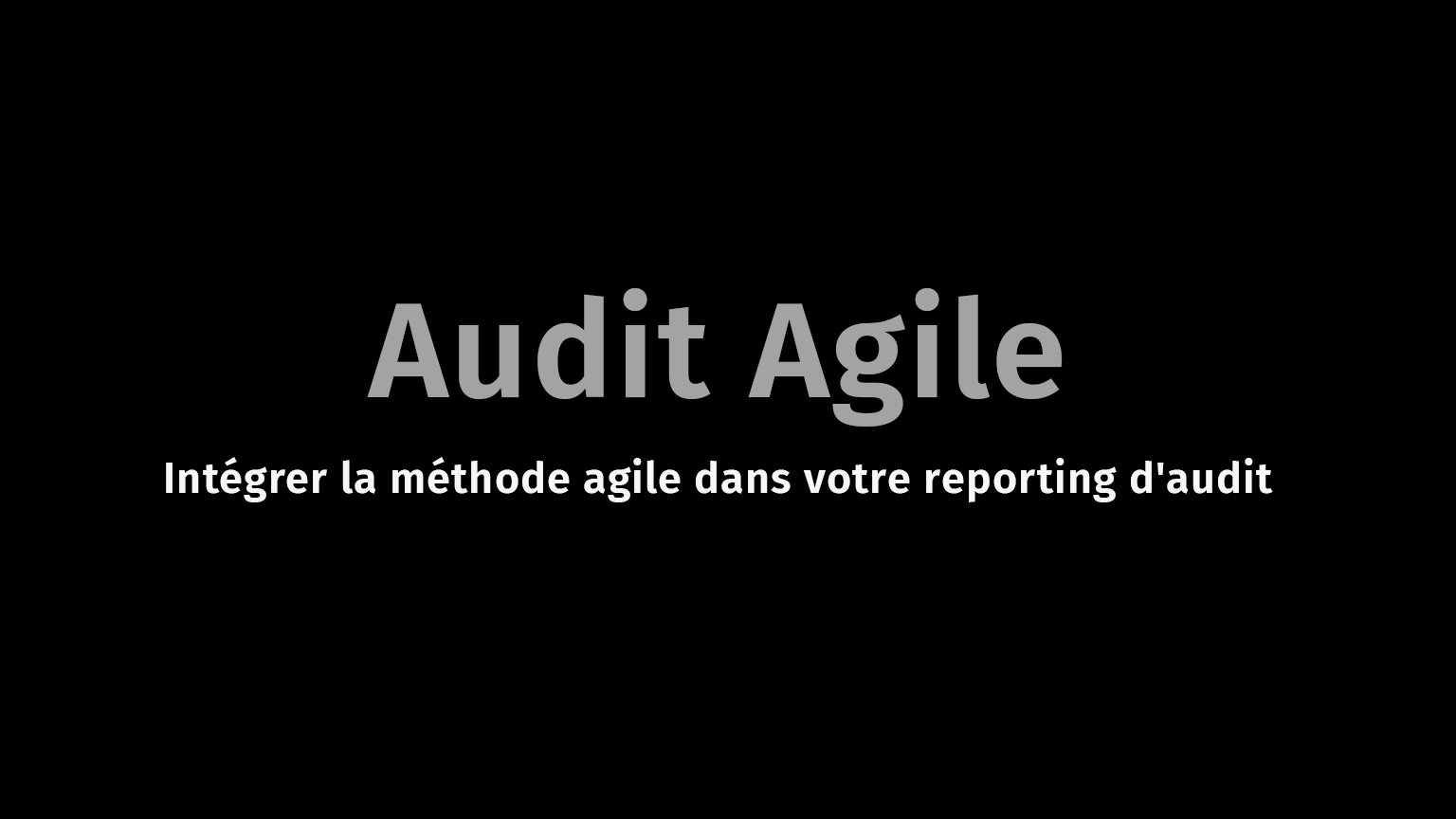 Audit Agile