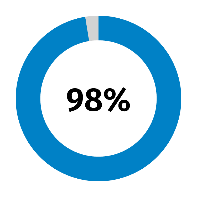 98% Piechart 