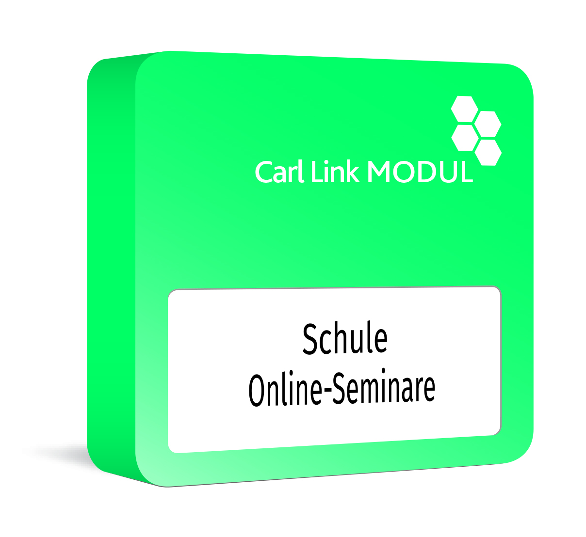 Schule_Online_Seminare_Carl_Link_Modul