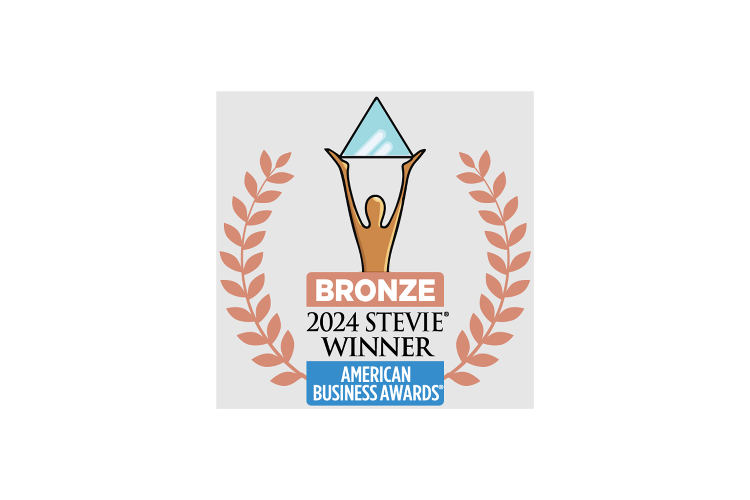 2024 American Business Awards bronze