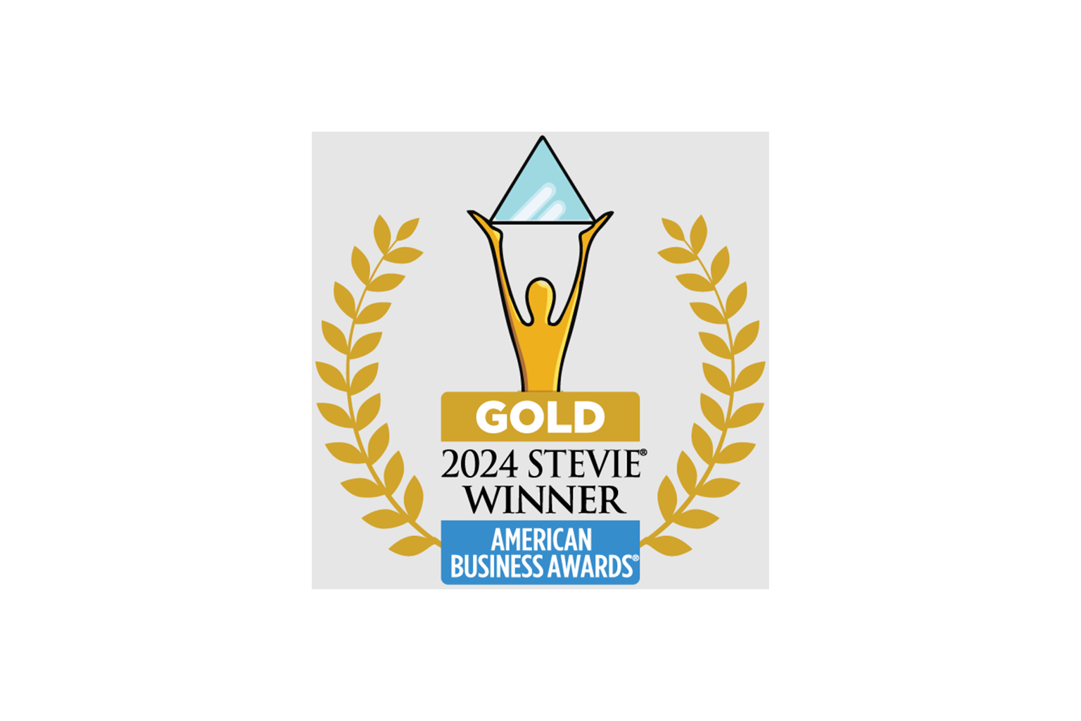 2024 American Business Awards gold