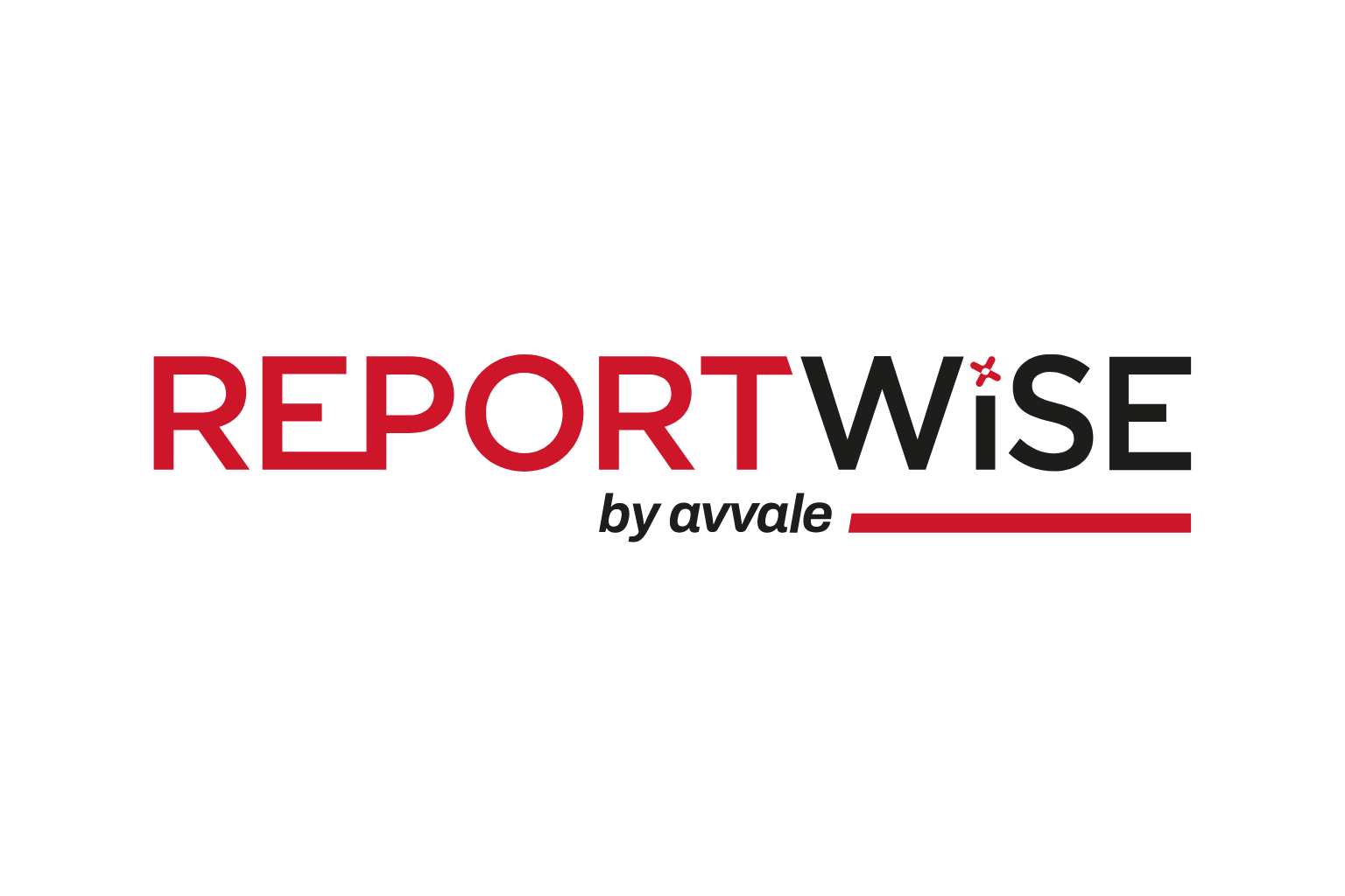 Logo ReportWise