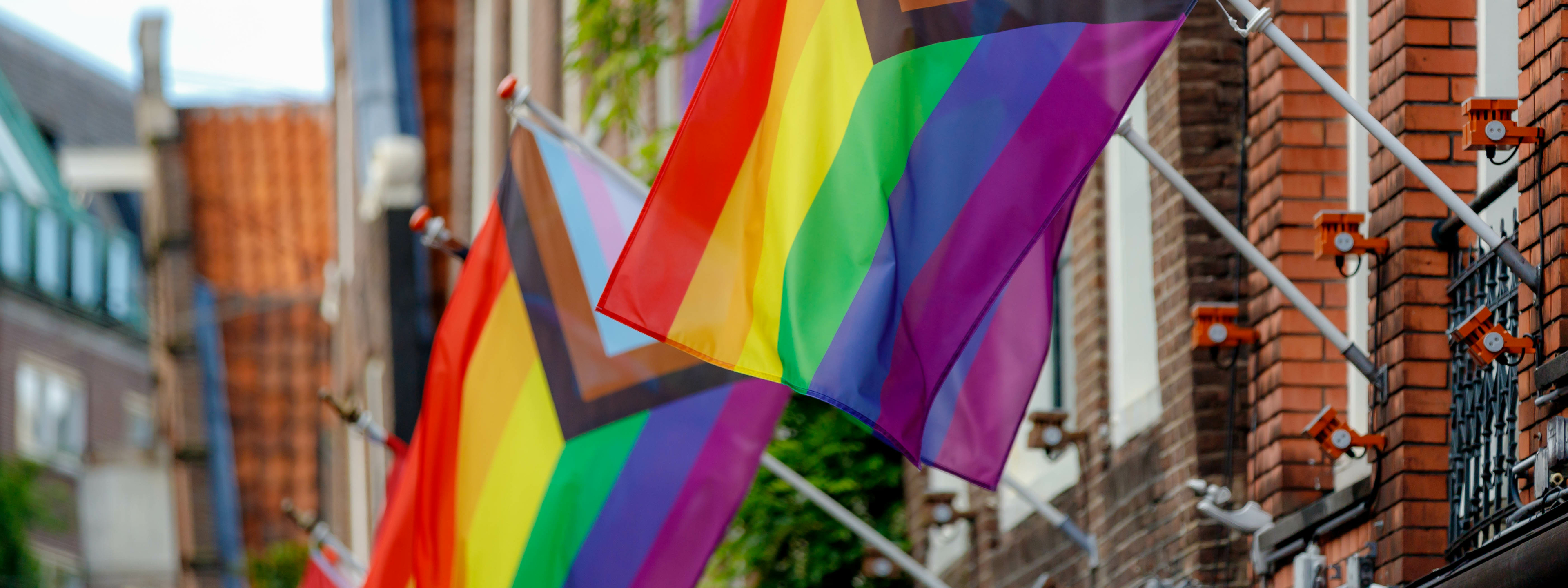 Progress Pride Flags