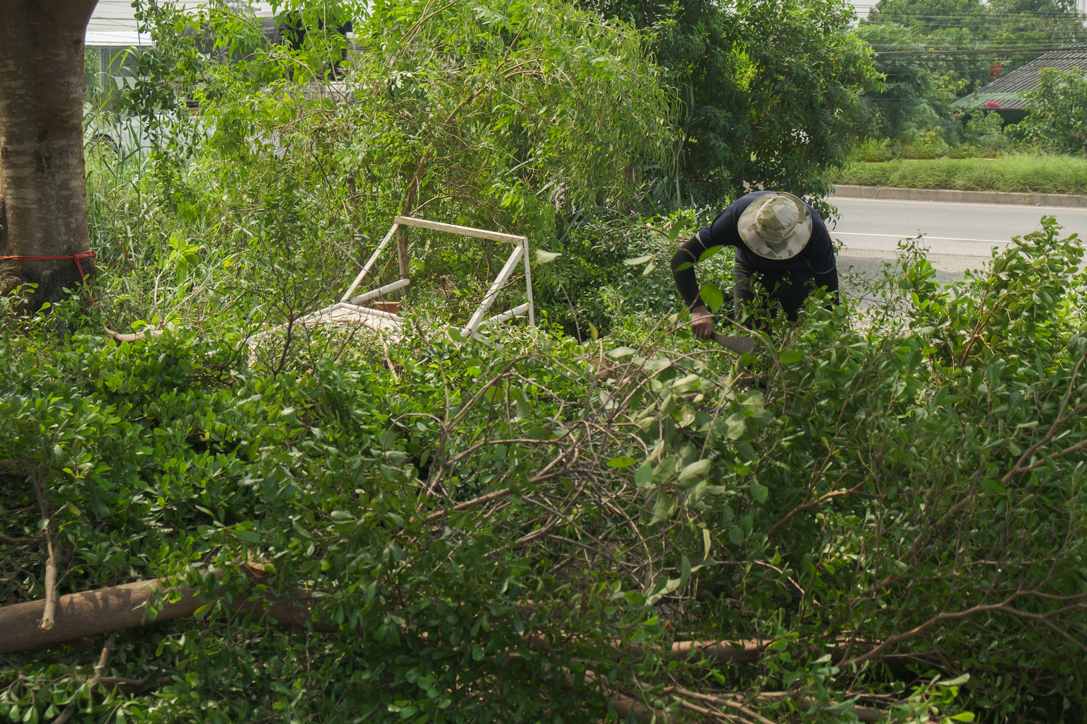 Tax relief for victims of Iowa severe storms and tornadoes: IRA and HSA deadlines postponed