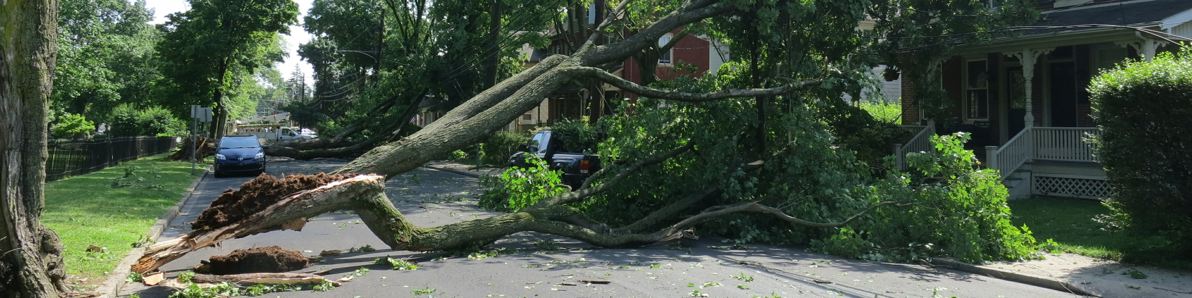 Large tree limb on power lines on residential street after tornado. Storm damage.