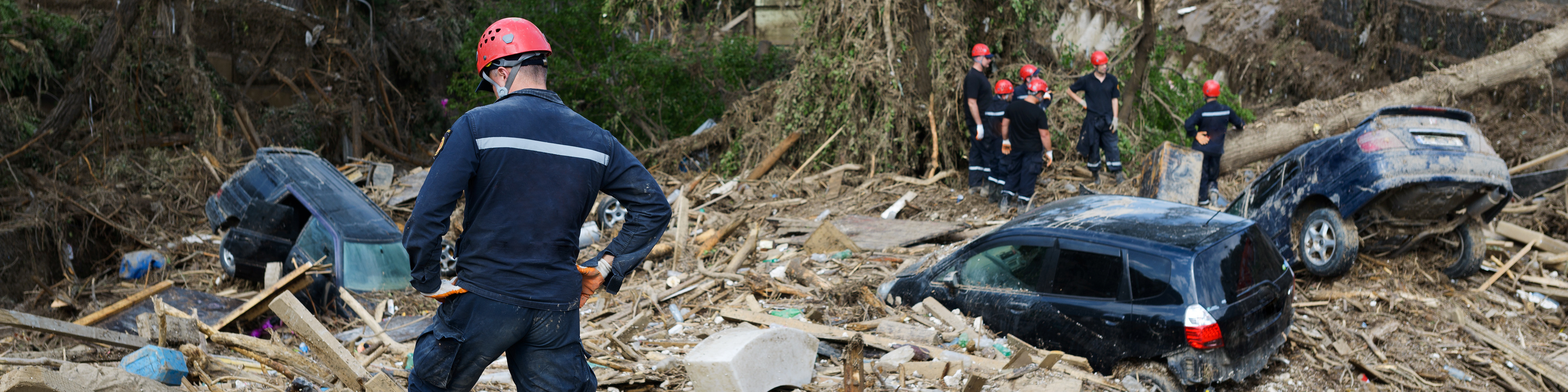 Cleaning up natural disaster