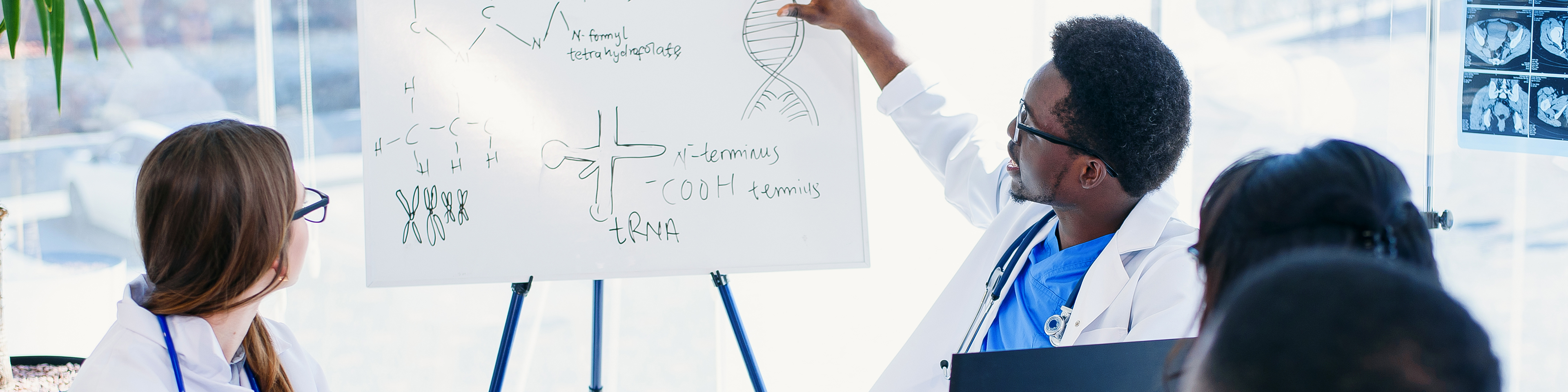 Professional group of multi-racial doctors have a meeting