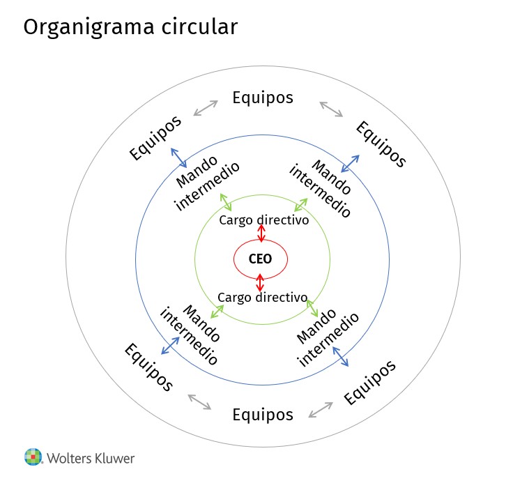 organigrama circular ejemplo