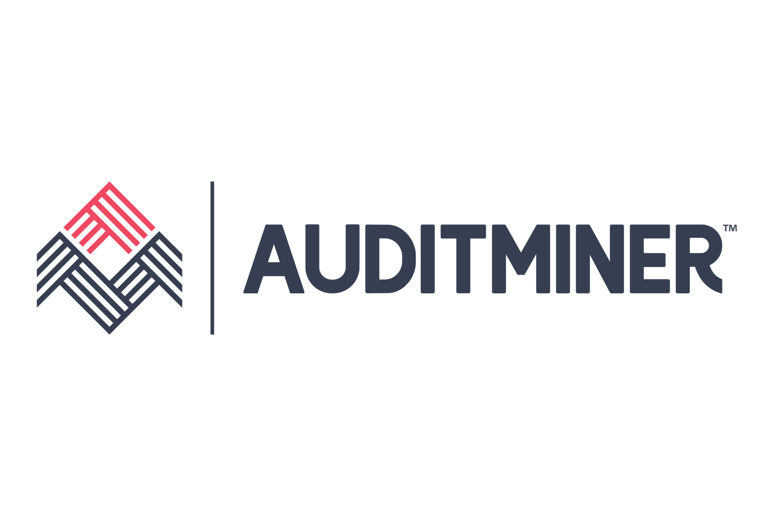 AuditMiner logo - CCH Marketplace vendor