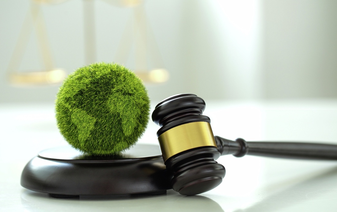 How EHS Software Protects Firms from Climate-Related Litigation