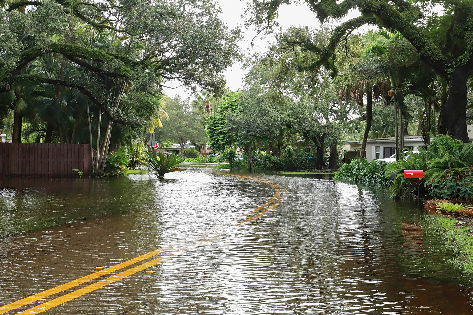 Tax relief for North Carolina residents affected by Tropical Storm Debby