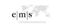 E | M| S  Unternehmensberatung