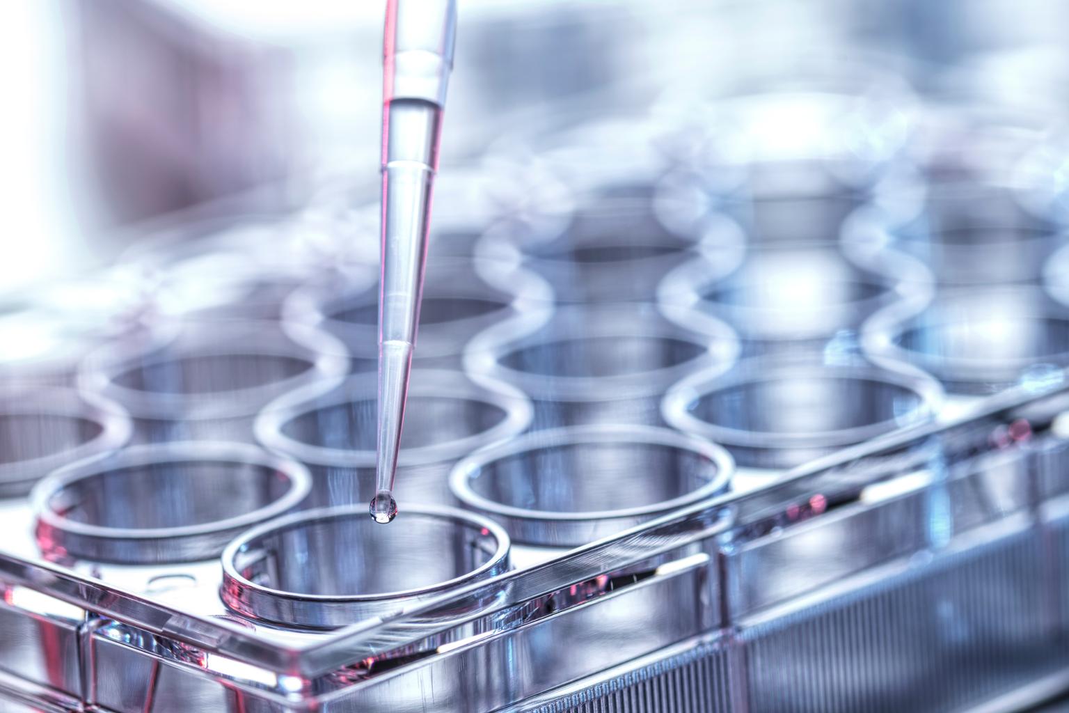 Pharmaceutical research pipetting sample into a multi well plate