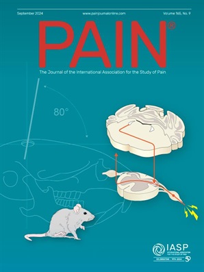 PAIN cover