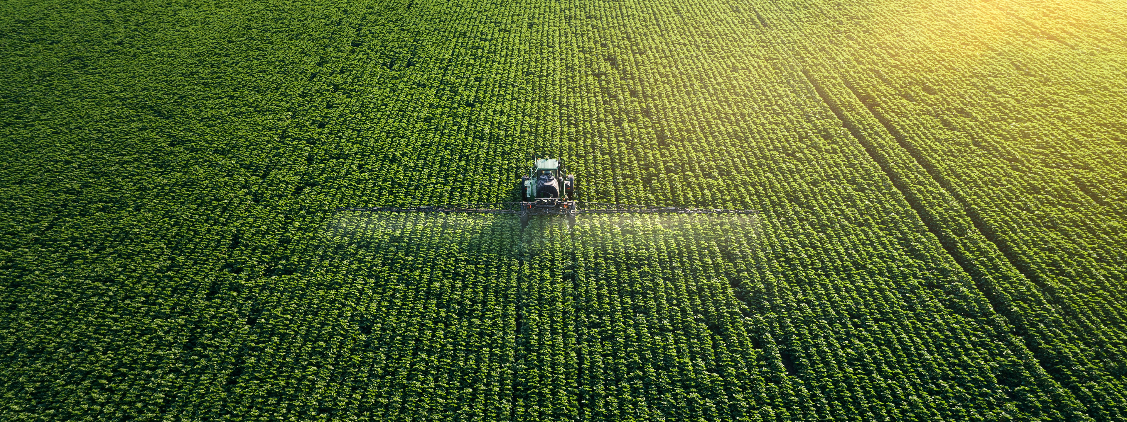 Taking care of the Crop. Aerial view of a Tractor fertilizing a cultivated agricultural field.