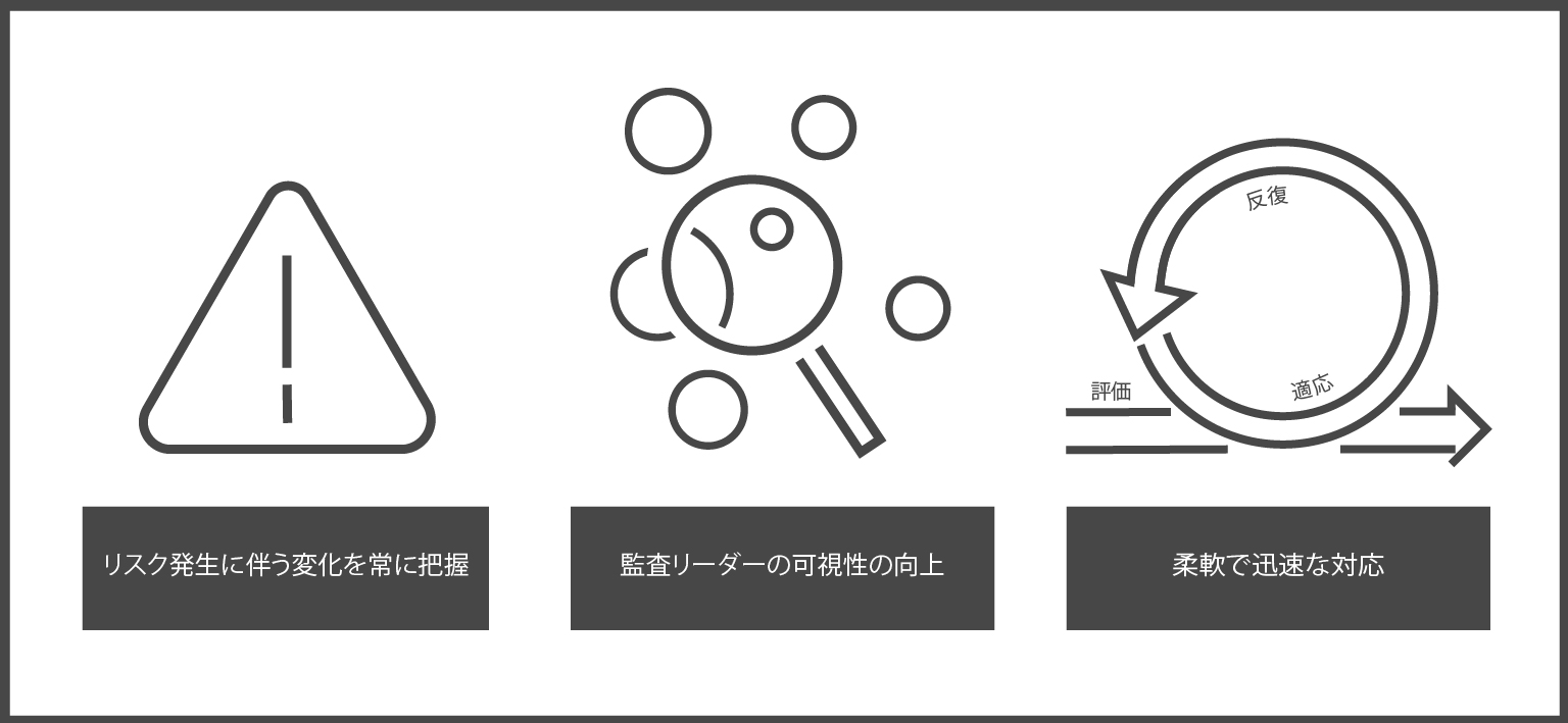 Risk-Focused Planning Graphic Japanese