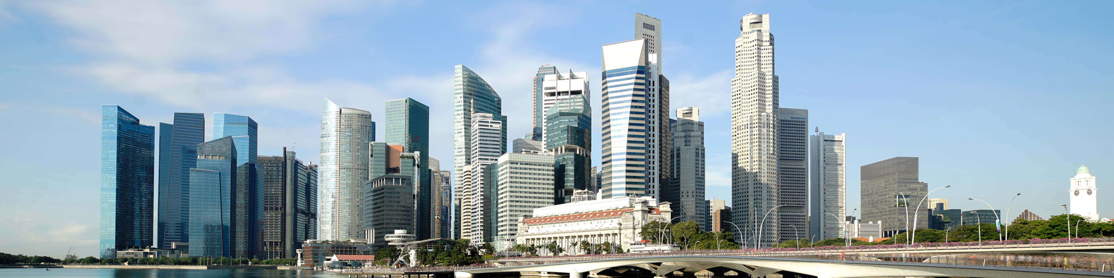Country Guide: Singapore