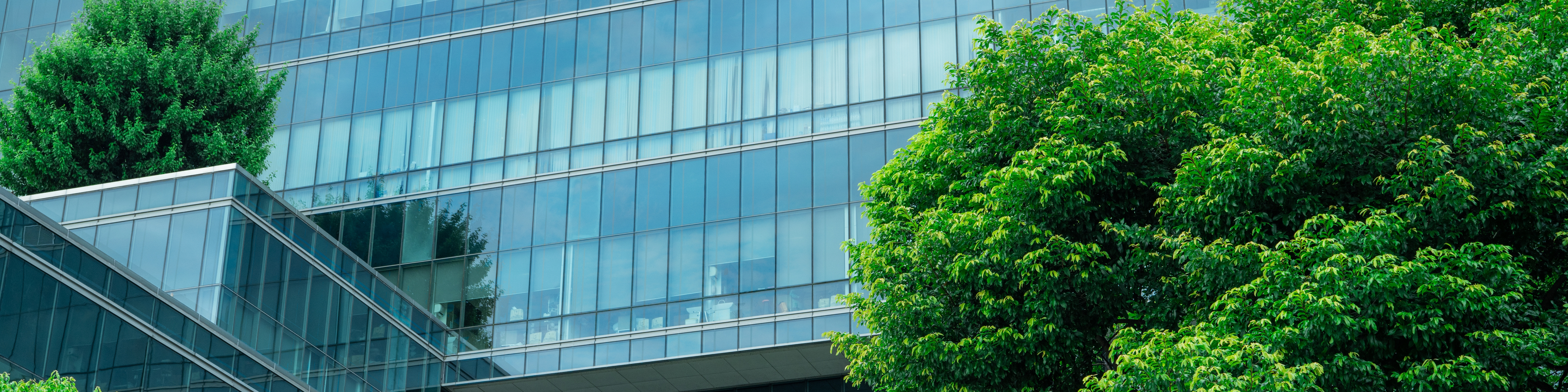 Eco-friendly building in the modern city. Sustainable glass office building with trees for reducing heat and carbon dioxide. Office building with green environment. Corporate building reduce CO2.