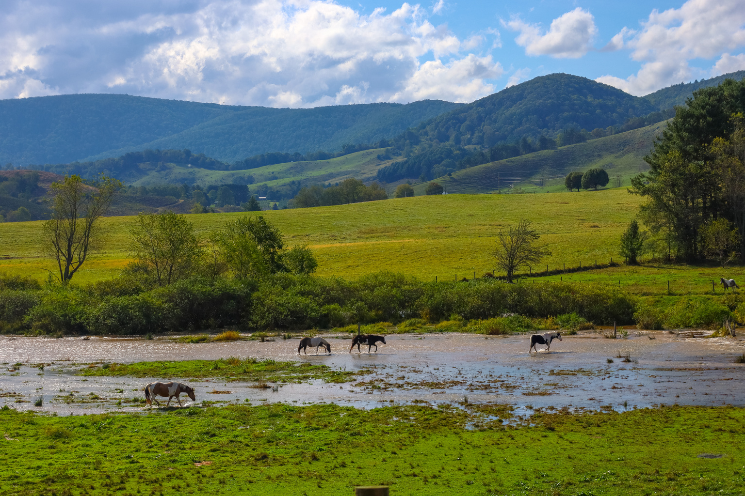 Tax relief for New York residents of the Saint Regis Mohawk Tribe impacted by severe storms and flooding: IRA and HSA deadlines postponed