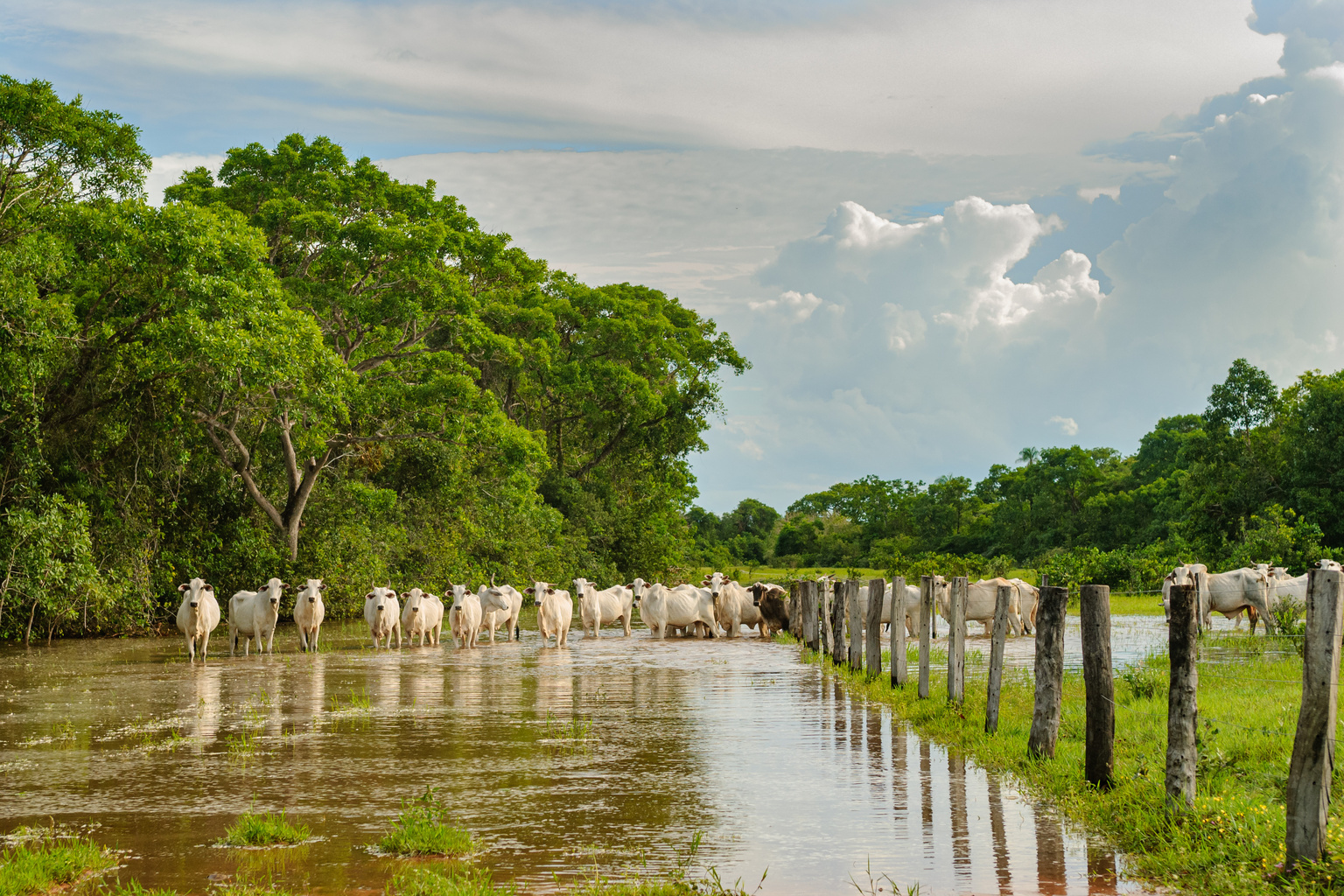 Tax relief for South Dakota residents of the Cheyenne River Sioux Tribe impacted by severe storms: IRA and HSA deadlines postponed