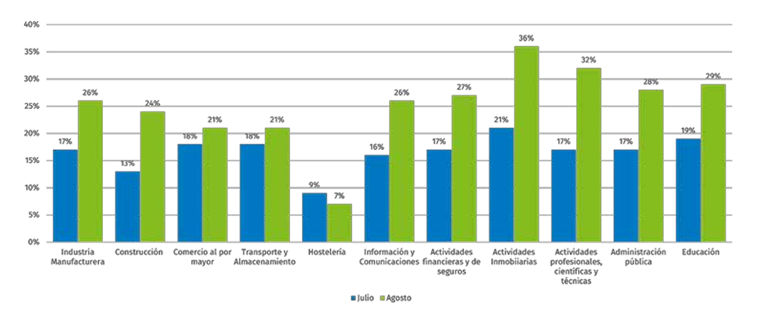 distribucion sectores actividad