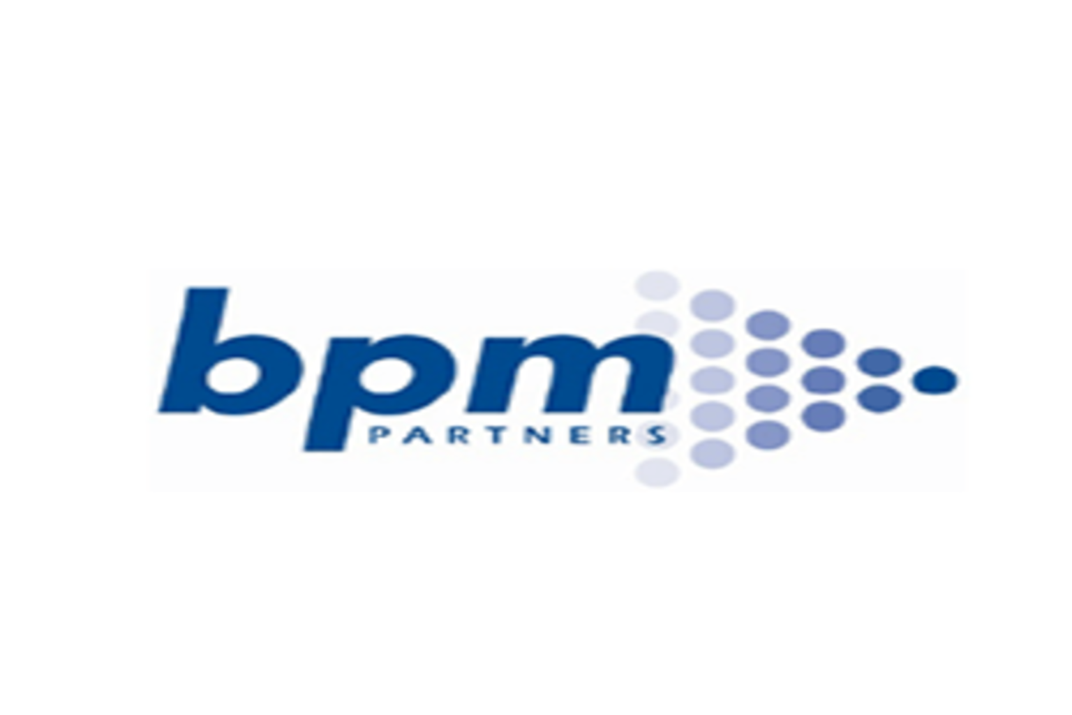 BPM partners
