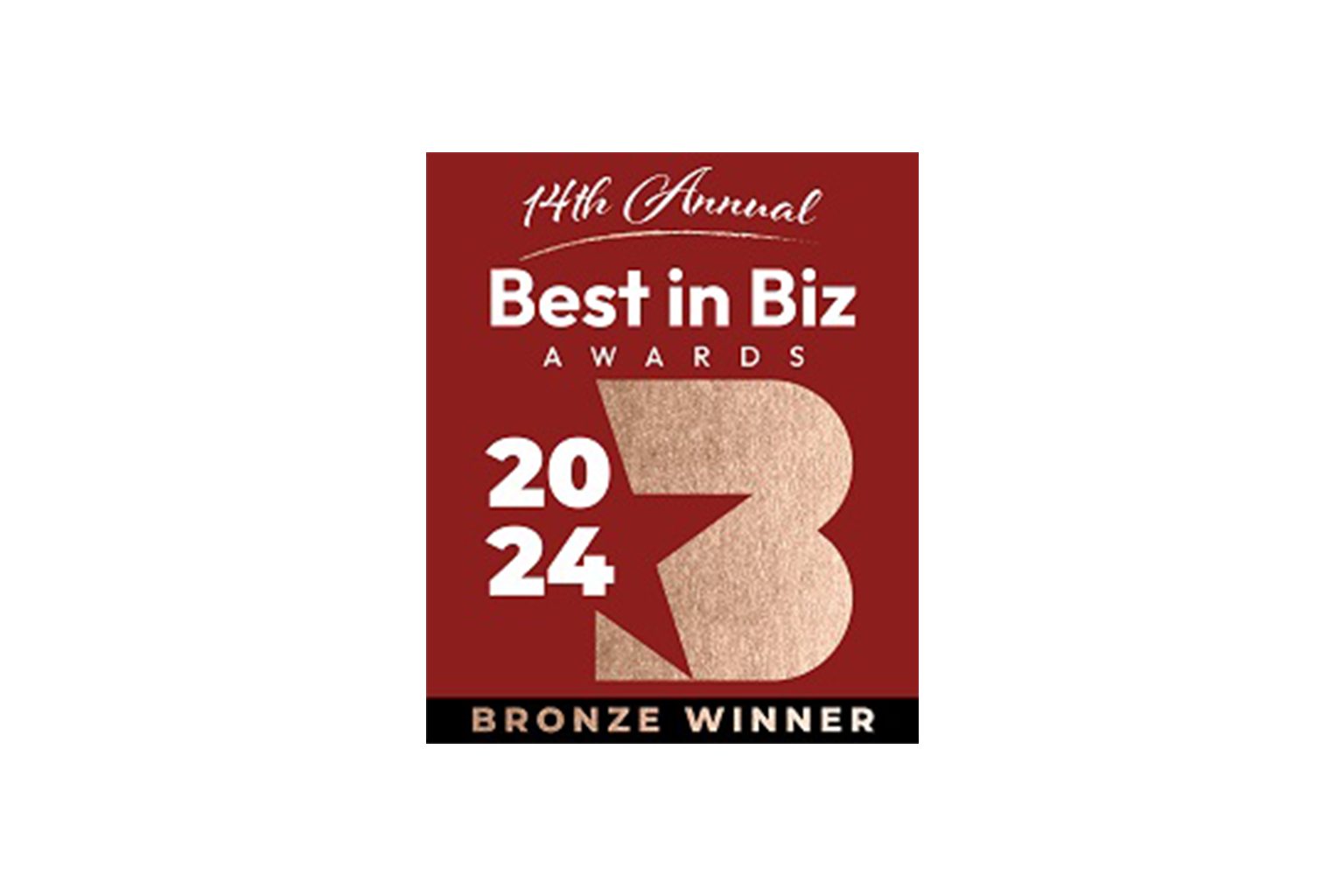 Best in Biz awards bronze