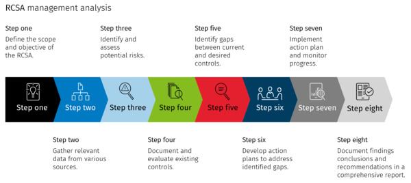 RCSA Management Analysis