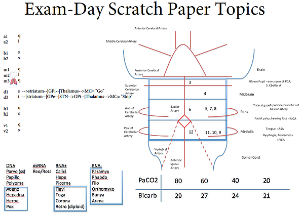 A student's exam-day scratch paper topics