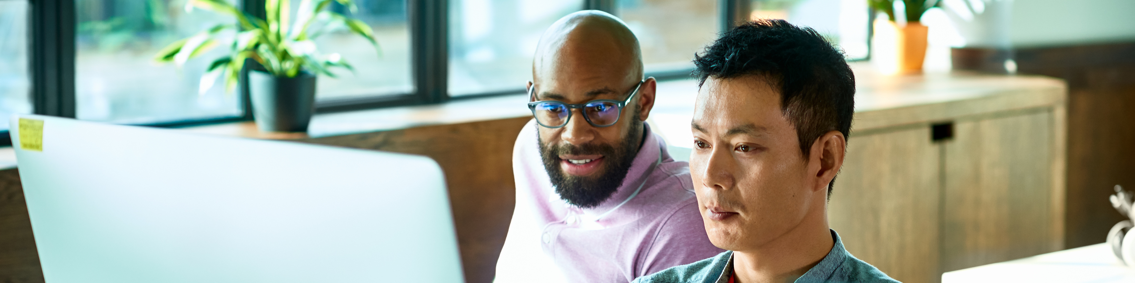 Asian male computer programmer working with African male colleague in office.