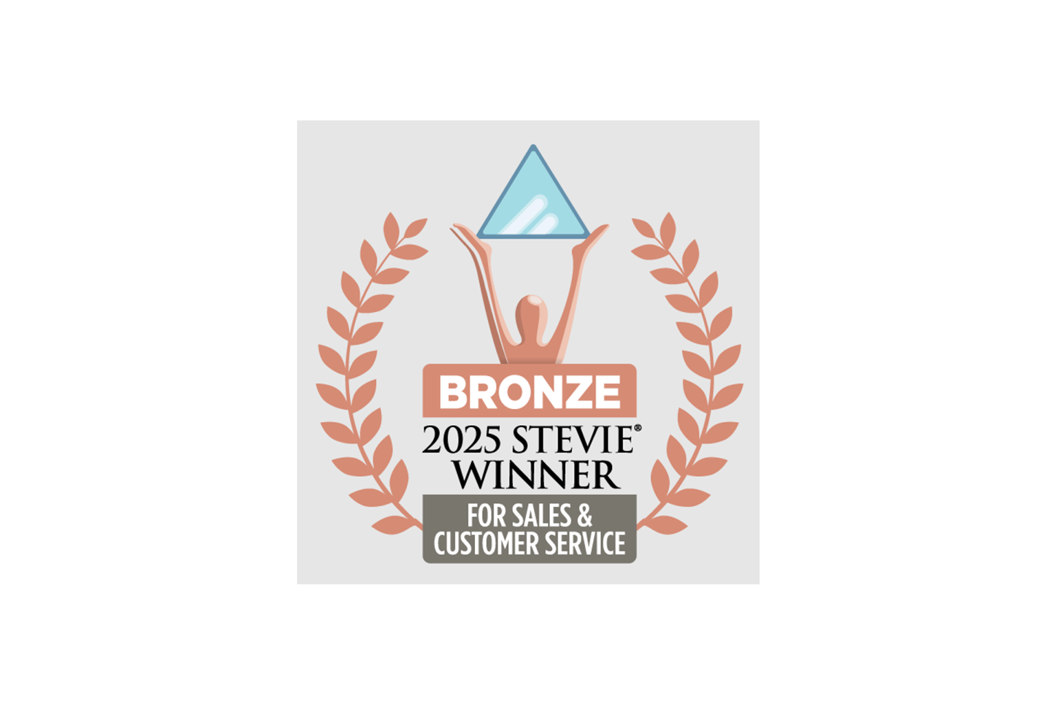 2025 Bronze Stevie Awards for Sales and Customer Service