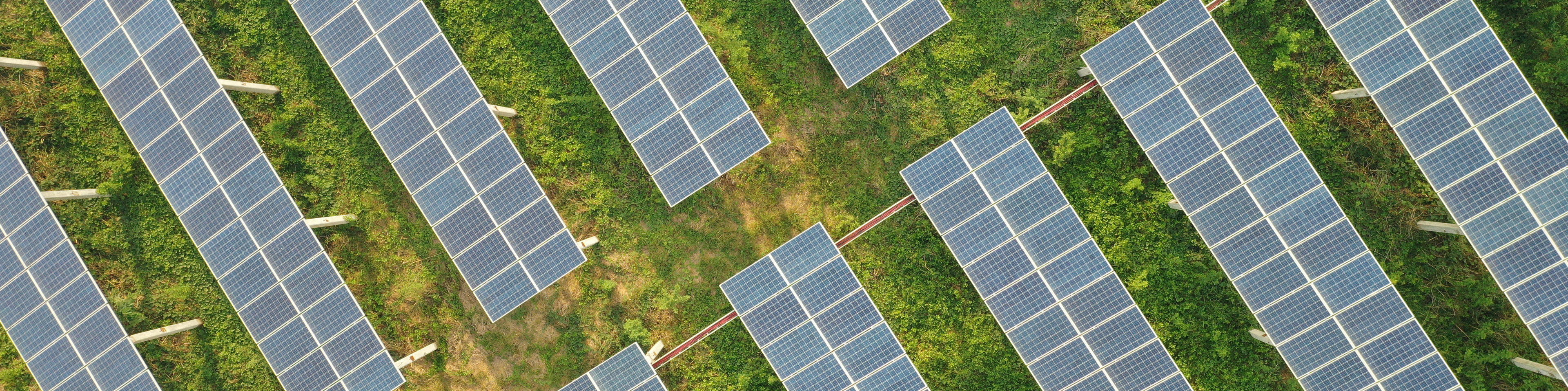 Solar panels stationary rows, solar power stations in high angle view isolated over green grass fields background