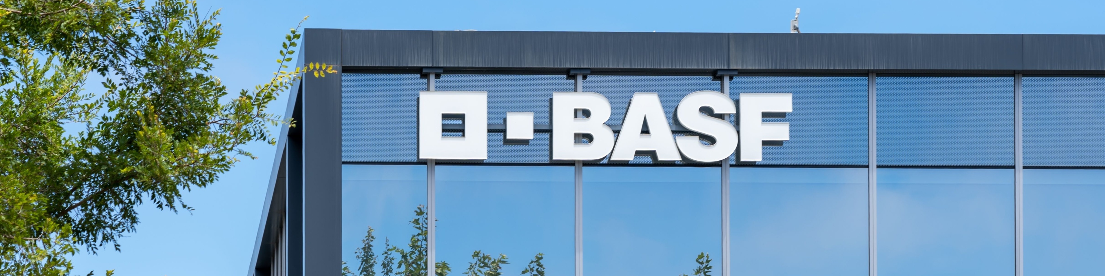 BASF