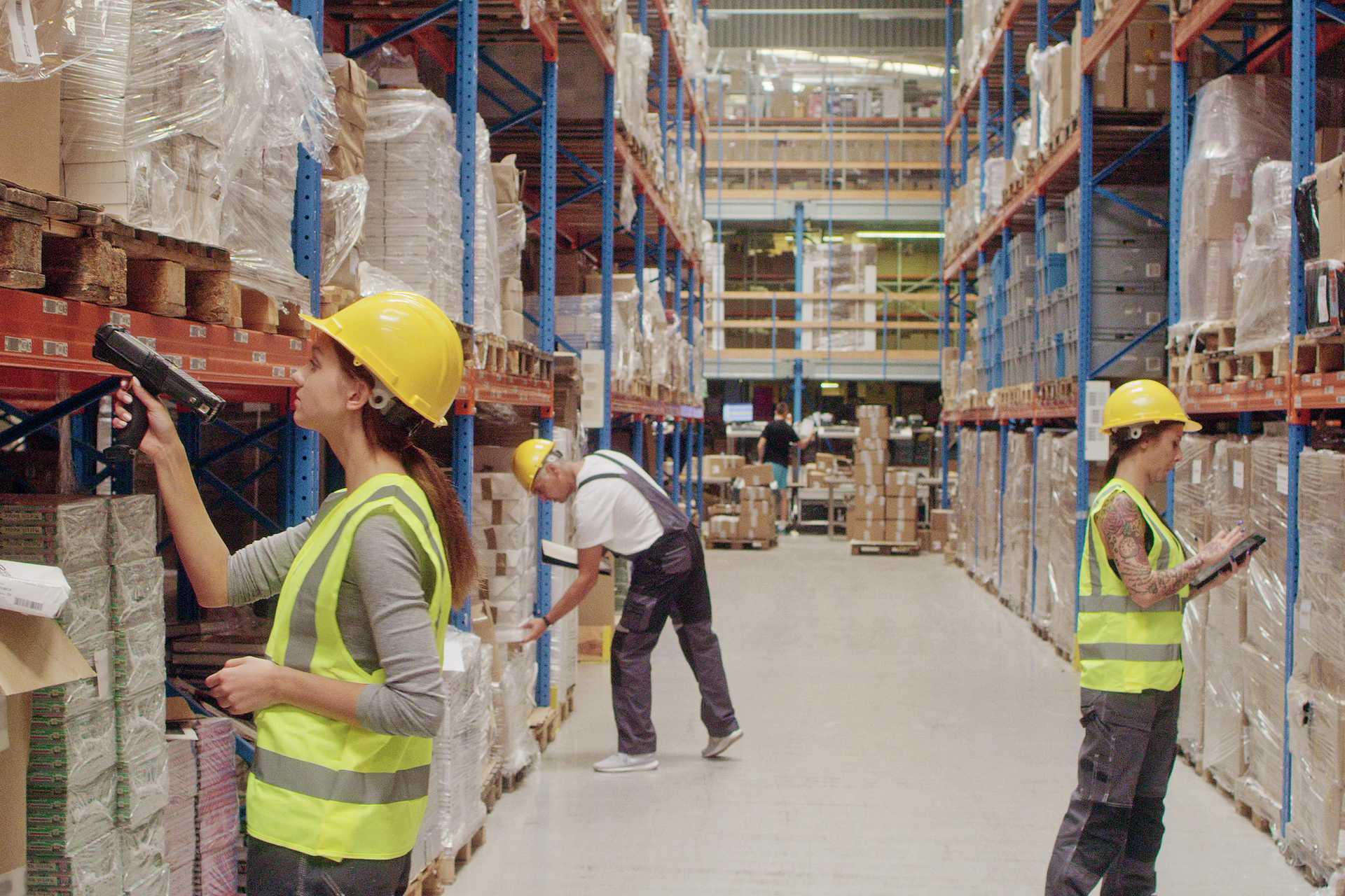 Group scans warehouse shelves