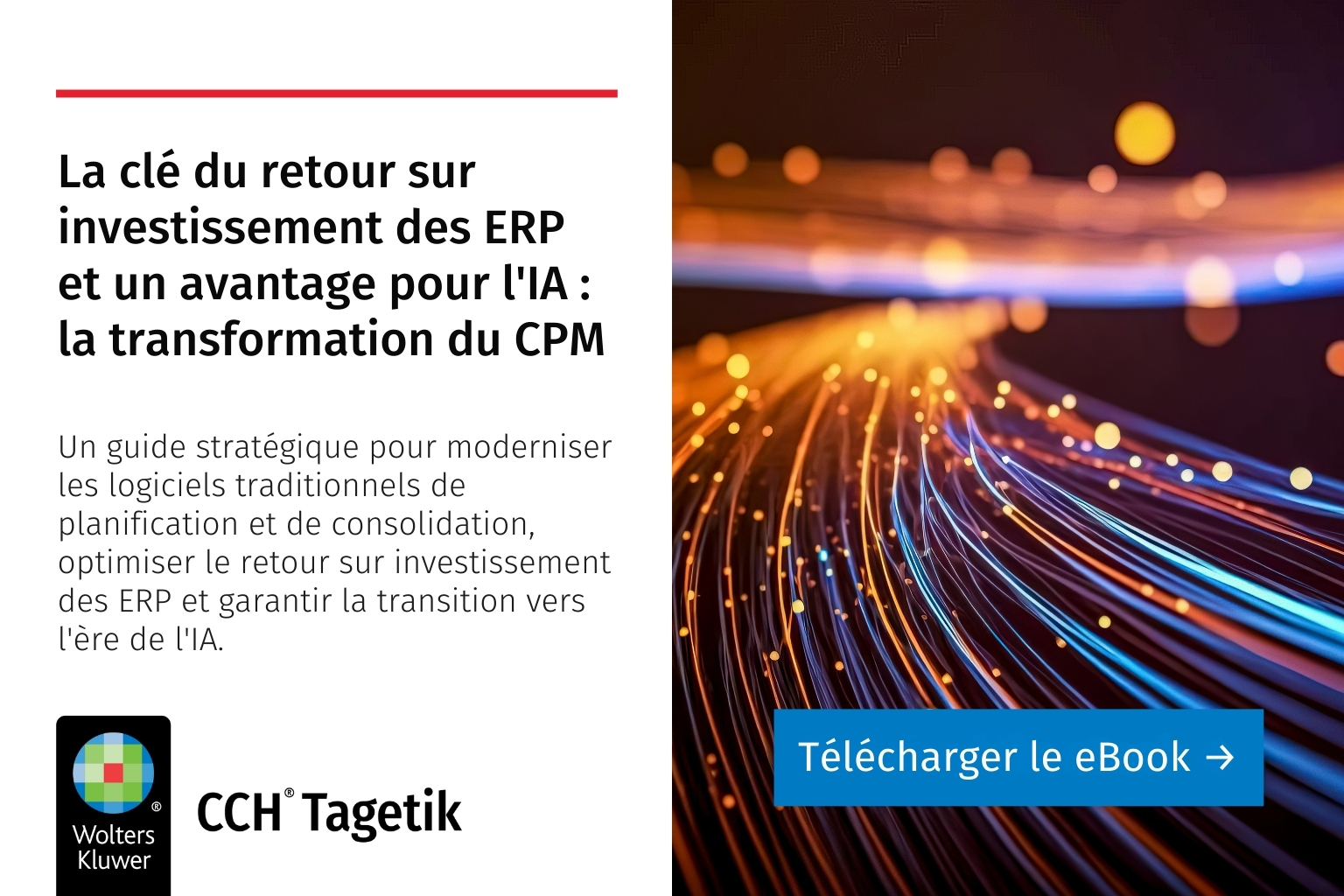La clé du retour sur investissement des ERP et un avantage pour l'IA ...