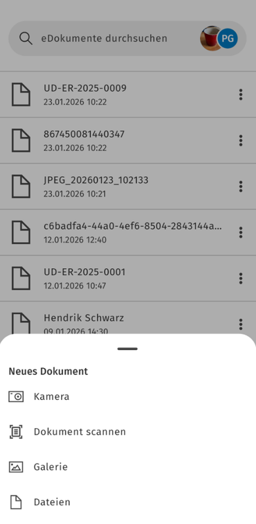 Lohnordner Dokumente erfassen.png